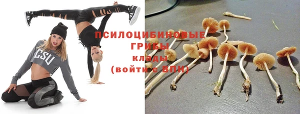 прущие грибы Белоозёрский