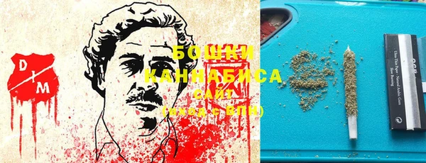 гидра Белокуриха