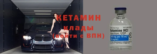гидра Белокуриха