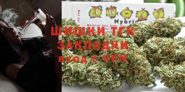 прущие грибы Белоозёрский
