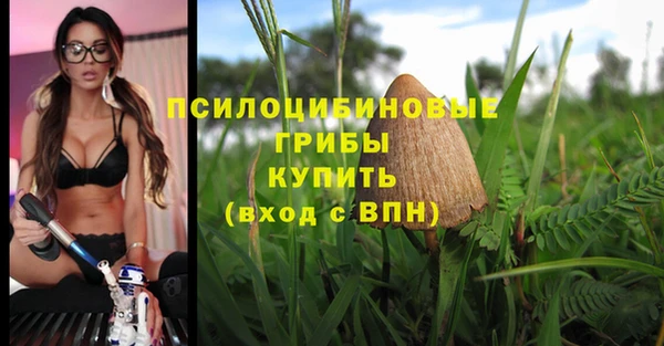 хмурый Снежинск