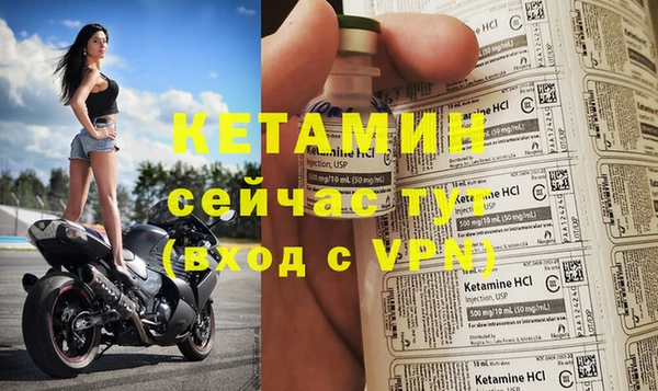 гидра Белокуриха