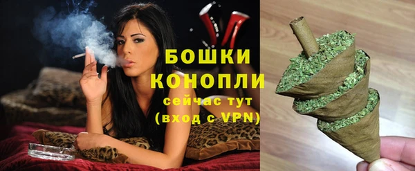 гидра Белокуриха