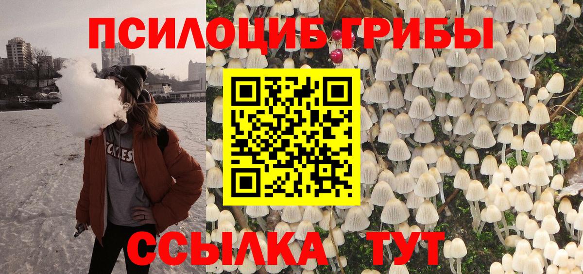Псилоцибиновые грибы прущие грибы  Вход с VPN  Малоярославец  Псилоцибиновые грибы ЛСД 