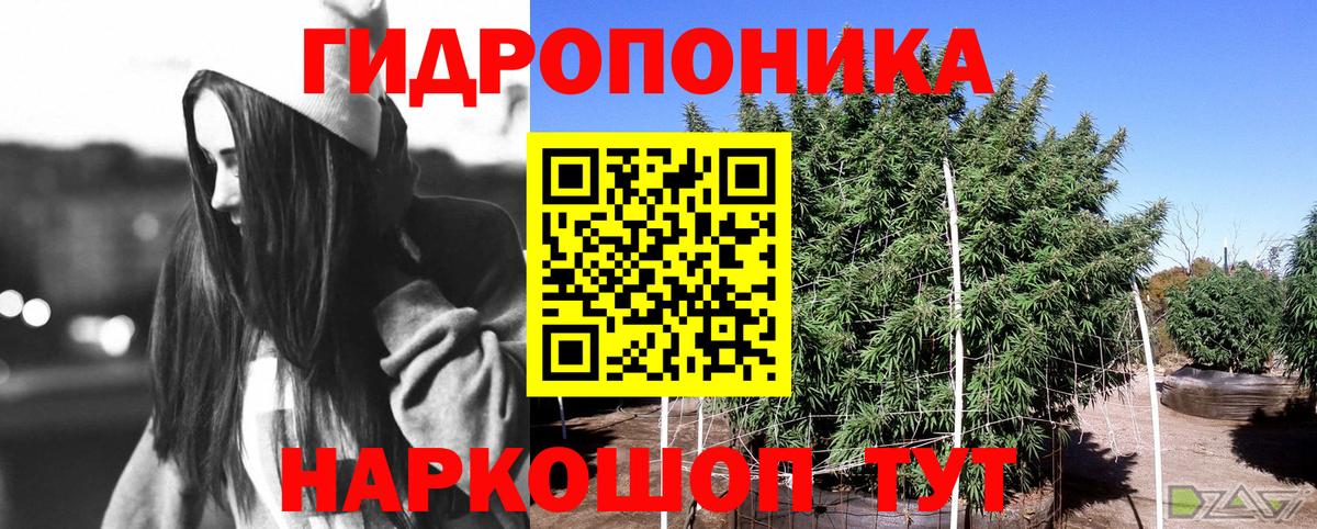 Каннабис OG Kush  МАРИХУАНА SATIVA & INDICA  Малоярославец  Вход с VPN  Канабис SATIVA & INDICA 
